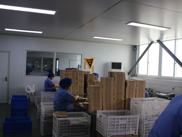 哪家膏藥oem貼牌加工廠的性價比高？